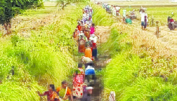 ముమ్మరంగా ఉపాధి హామీ పనులు