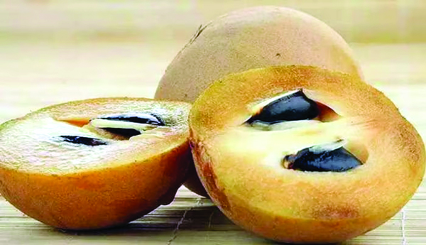 Health-benefits-with-Sapota