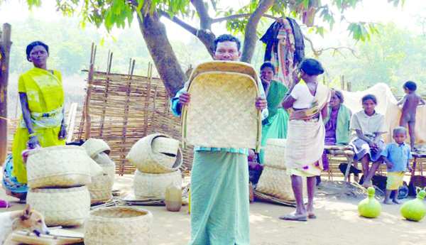 Bamboo-is-a-hardship-for-tribals