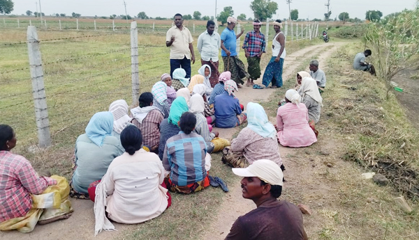 upadhi-hami-scheme-workersa