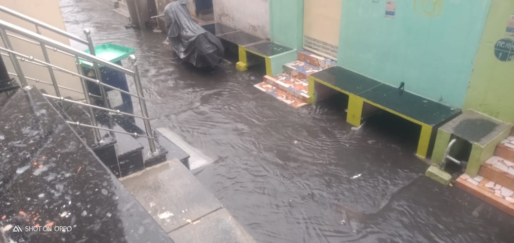 పలు ప్రాంతాల్లో జోరువాన