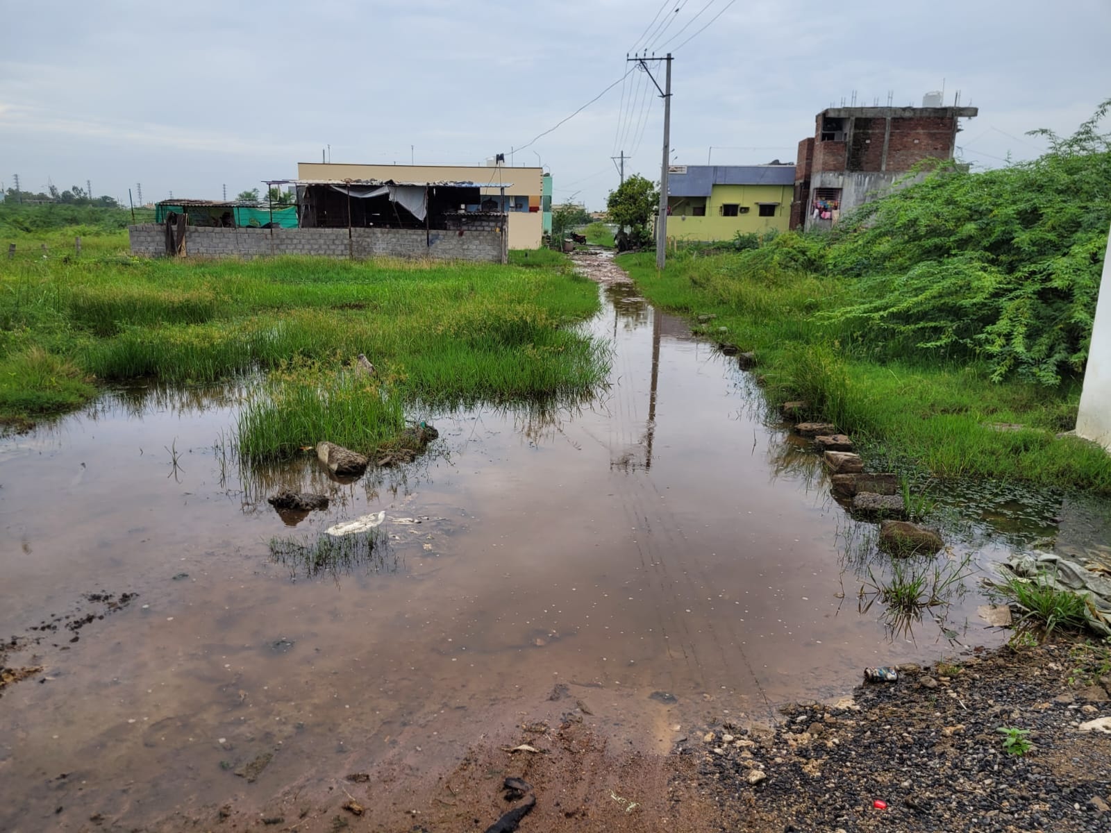 వీడని ముసురు