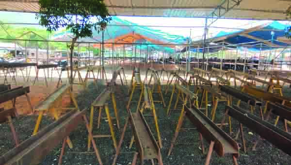 నేడే గిరిప్రదక్షిణ