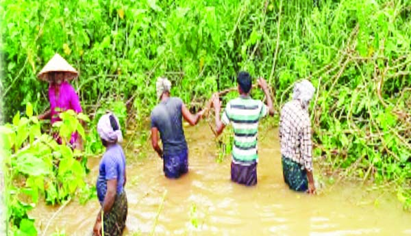 జైకా నిధులు ఏమయ్యాయో