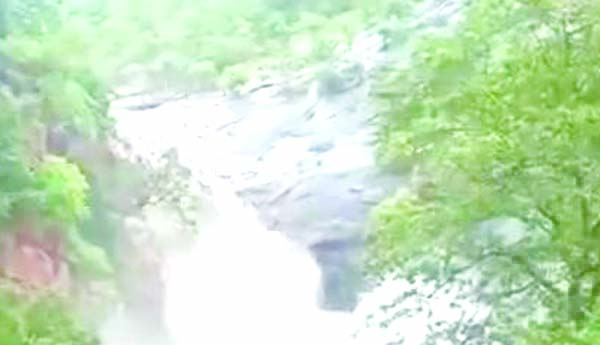 వరి నారు వర్షార్పణం