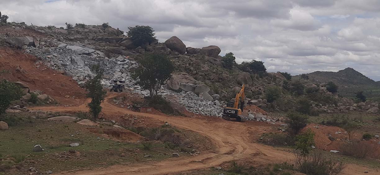 పేళుళ్ల భయం.. విహంగాలు మాయం.!