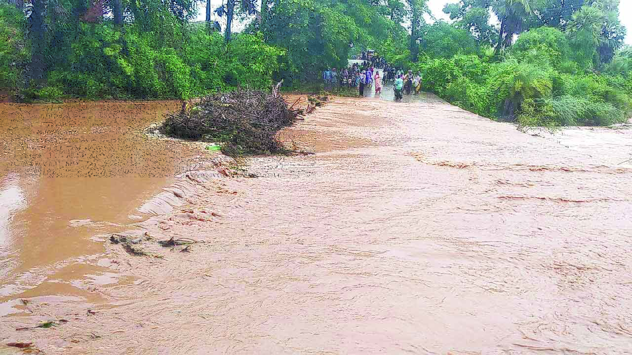 జిల్లాలో విస్తారంగా వర్షాలు
