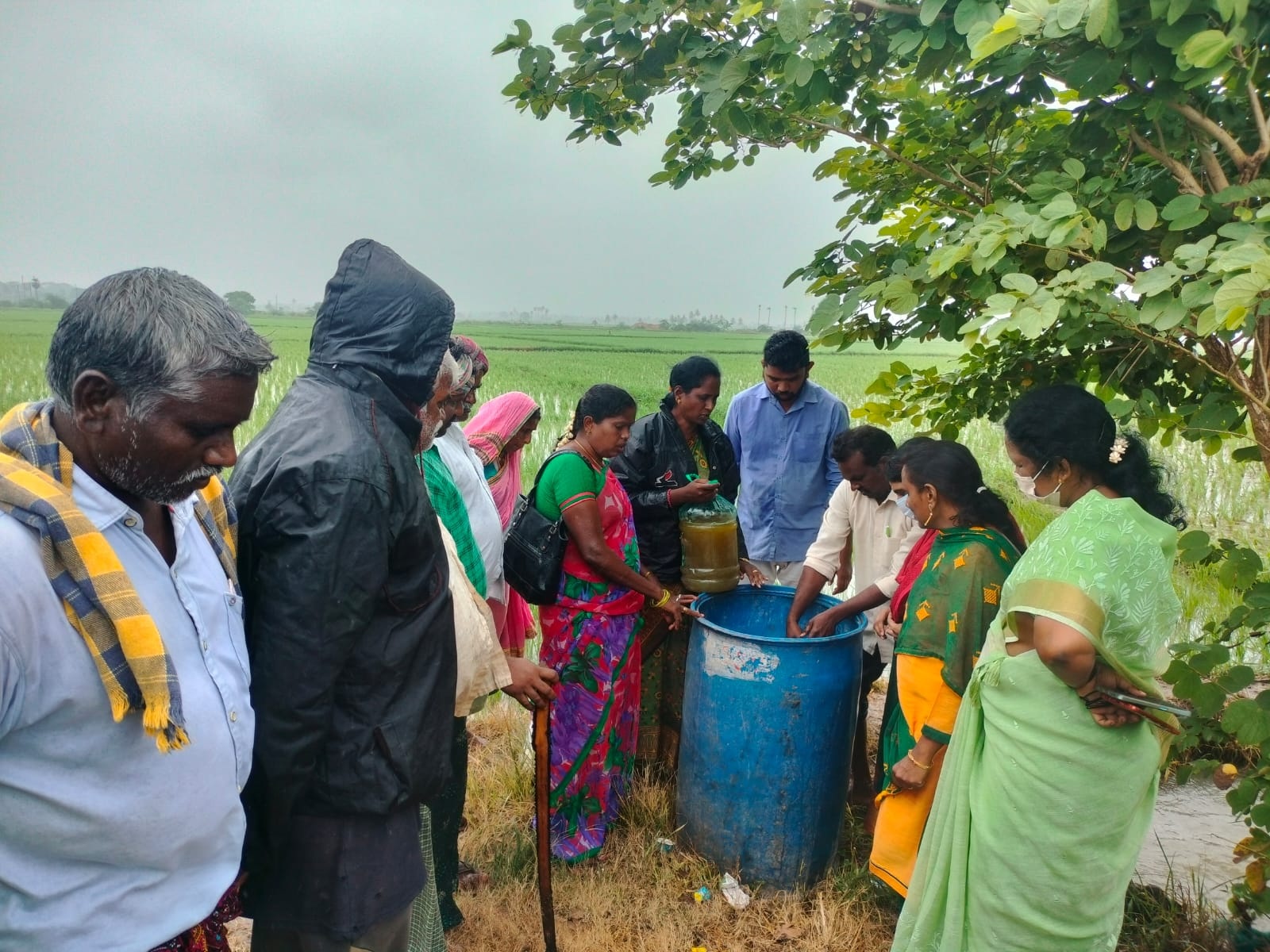 అధిక దిగుబడులకు రైతులు సూచనలు పాటించాలి