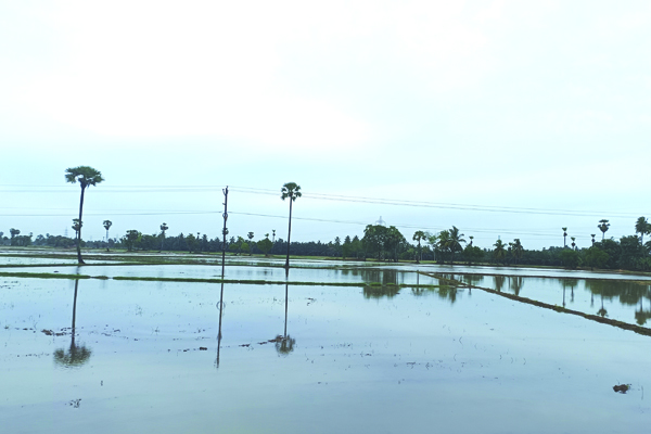 చిగురిస్తున్న ఖరీఫ్‌ ఆశలు