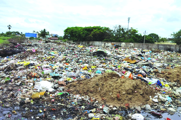 పారిశుధ్య నిర్వహణపై పంచాయితీ
