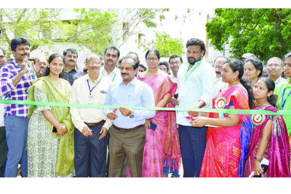 జెఎన్‌టియుకెలో మెగా జాబ్‌ మేళా