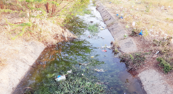 కంప చెట్లతో ఉన్న కొండపేట ఉపకాలవ