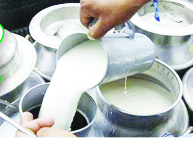 పాల డెయిరీలకు మోక్షమెప్పుడో ? 