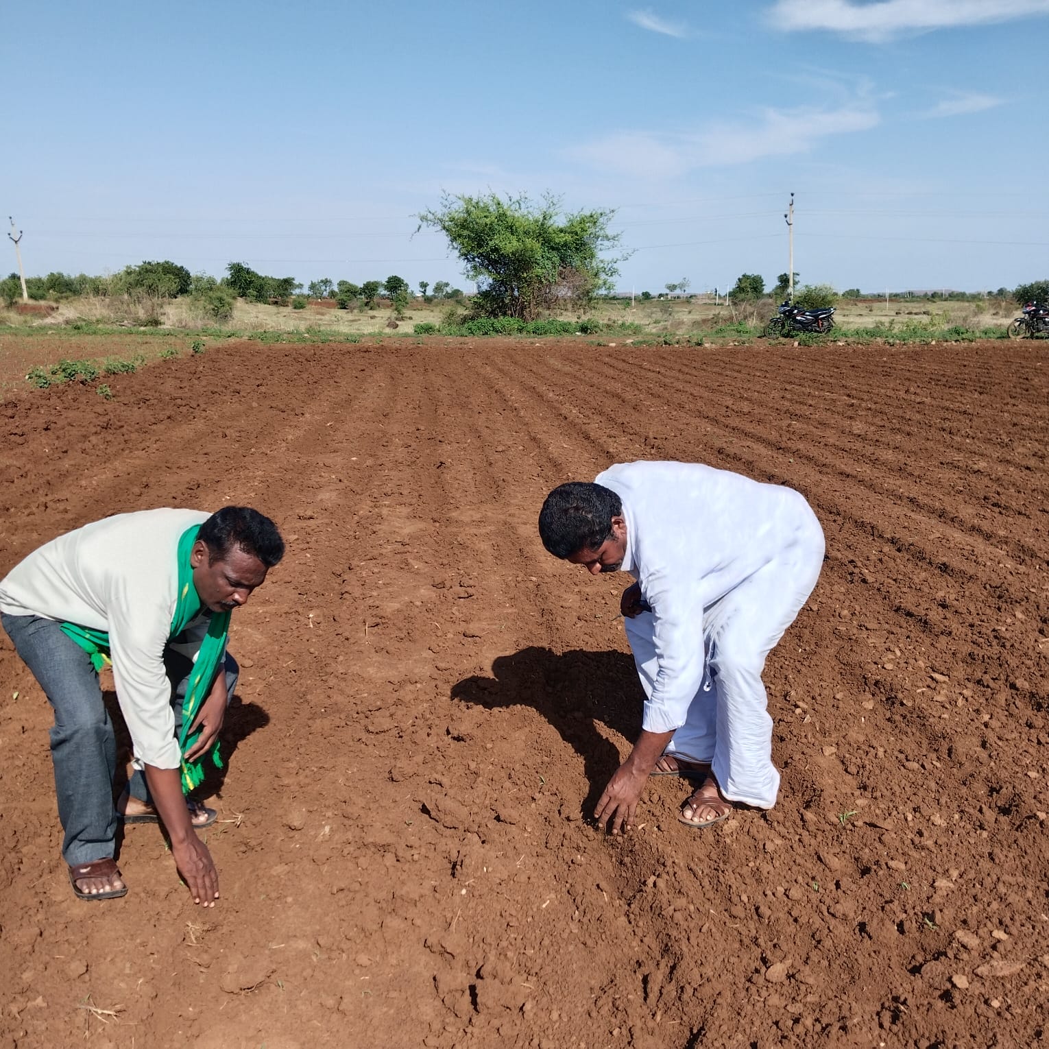 అడవి పందులు ధ్వంసం చేసిన   విత్తనాలను చూపిస్తున్న రైతు సంఘం నాయకులు