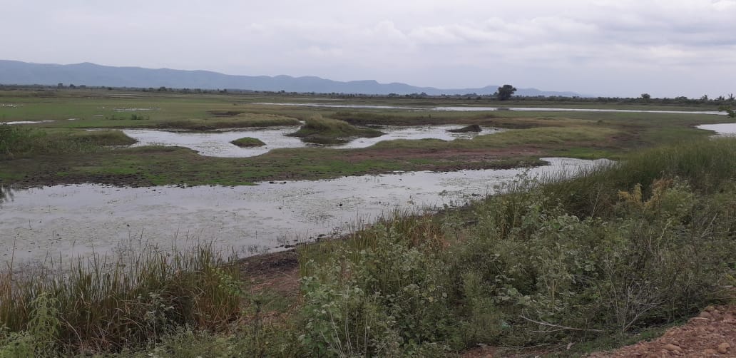 కబ్జాకు గురైన సంత జూటూరు చందనపు చెరువు