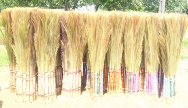 మద్దతుధరలేక కొండచీపుర్ల రైతులు విలవిల