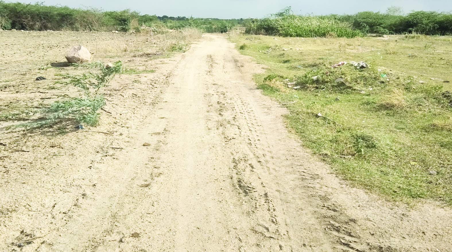 మొదలుకాని చిప్పగిరి నుంచి మద్దికెర రోడ్డు