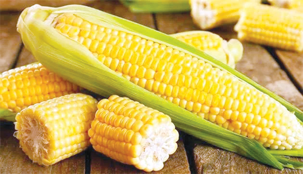 Mokkajonnato-arogyam