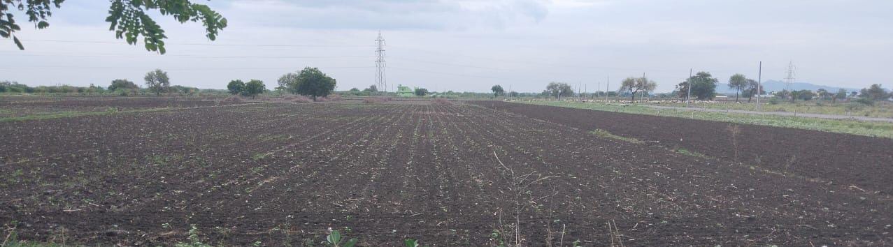 పల్నాడులో వర్షాభావం