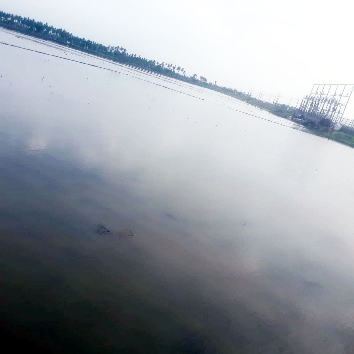 ముందే మునక