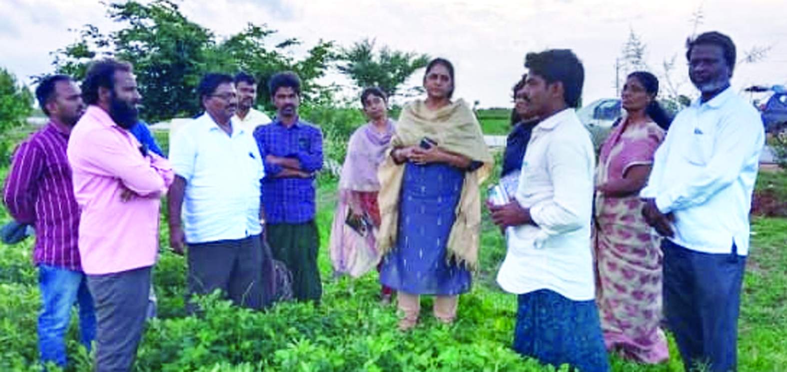 చీని తోటను పరిశీలిస్తున్న డిప్యూటీ కమిషనర్‌