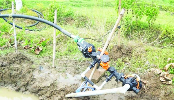 మరుపెంటలో సంచరిస్తున్న ఏనుగు