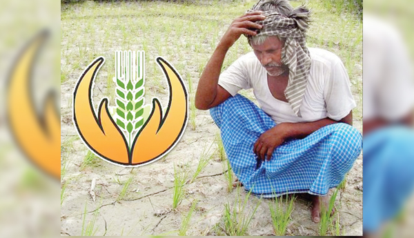 Companies-are-slow-Farmers-have-no-insurance