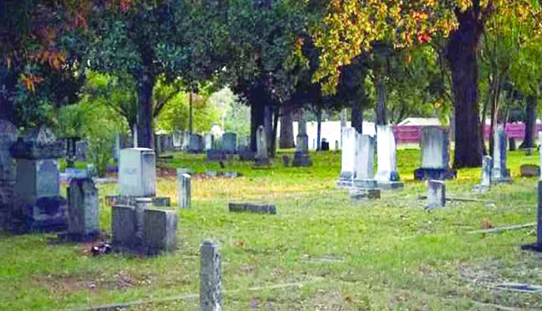 He-turned-the-graveyard-into-a-garden