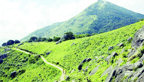 Disagreement-of-six-opposition-members-on-Forest-bill