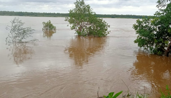 Vasishta-Godavari-is-abundant
