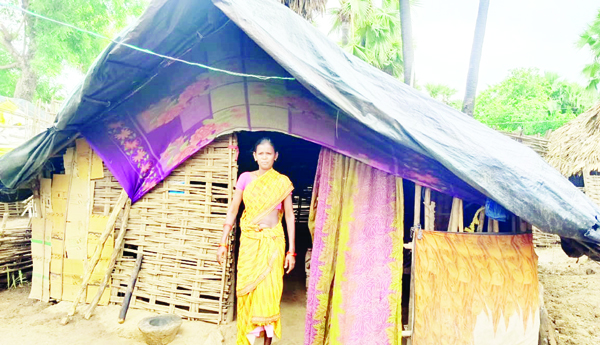 Still-in-tents