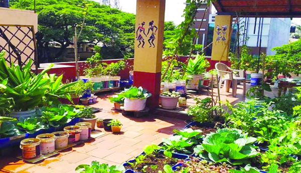 Health-with-home-cultivation