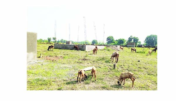 జగనన్న లే'అవుటేనా'