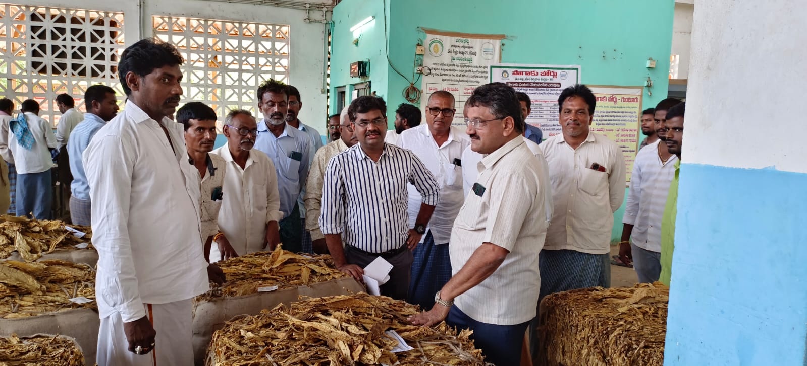 పొగాకు వేలం ధరలు పరిశీలన