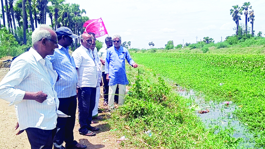 గుంటూరు ఛానల్‌లో తూటుకాడను తొలగించండి