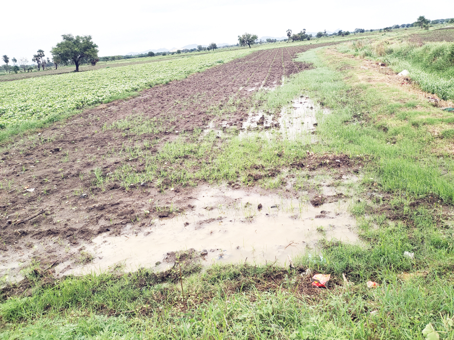 సేద్యం మరింత జాప్యం!