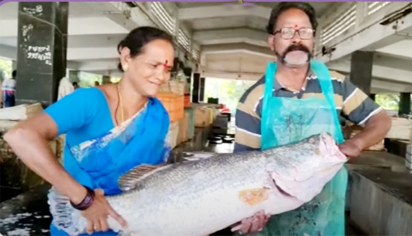 Aha-a-huge-festival-got-caught-in-Godavaris-net