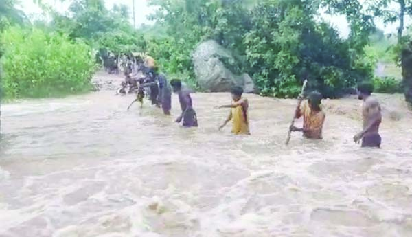 మన్యంలో విస్తారంగా వర్షాలు