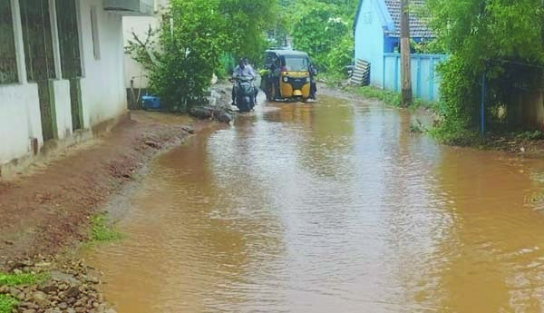 పలుచోట్ల విస్తారంగా వర్షం