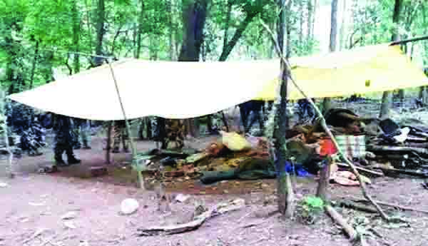 దద్దరిల్లిన అటవీ ప్రాంతం