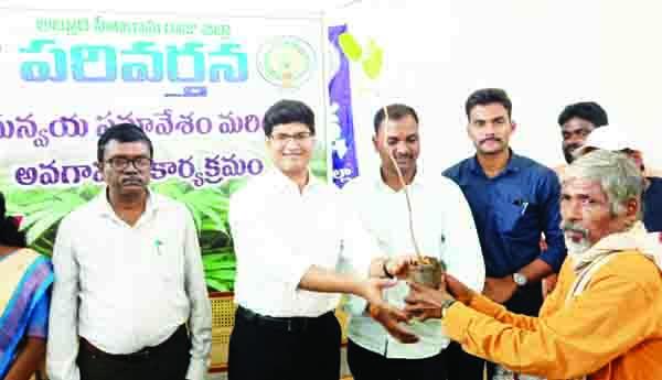 గంజాయి సాగుకు స్వస్తి పలకాలి