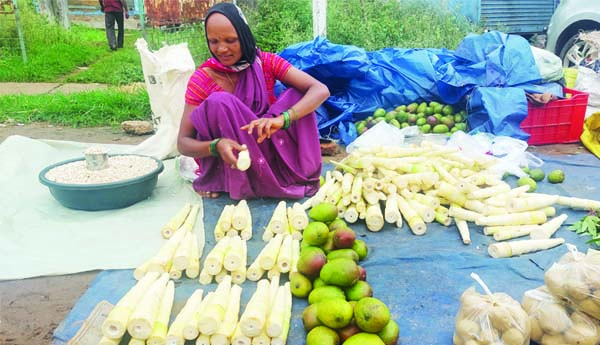 వెదురు కొమ్ముకుల గిరాకీ