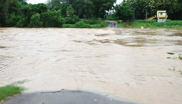 ముంచెత్తిన వాన