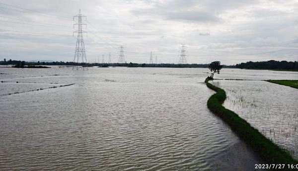 వర్ష ఉధృతి