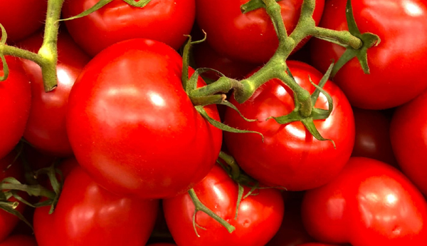 vegetables-prices-hike