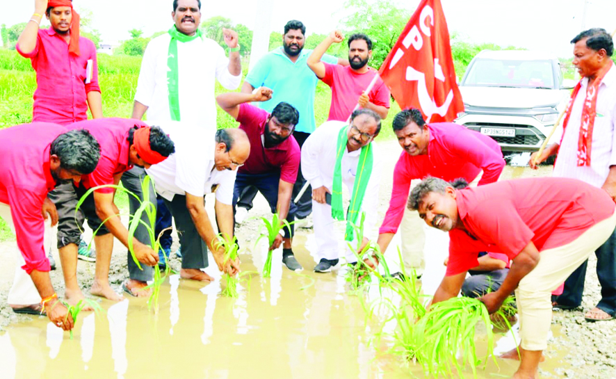 రహదారిపై వరినాట్లతో నిరసన