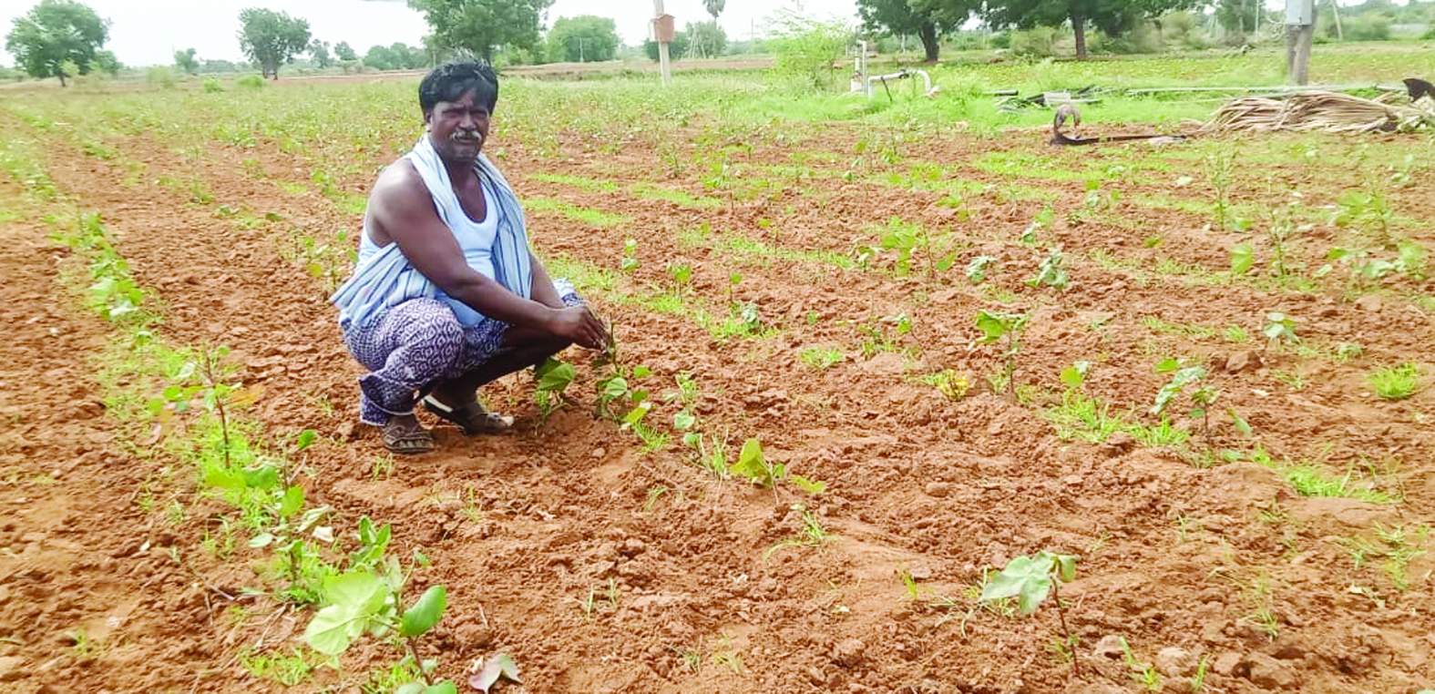 వర్షం కోసం ఎదురు చూస్తున్న రైతు