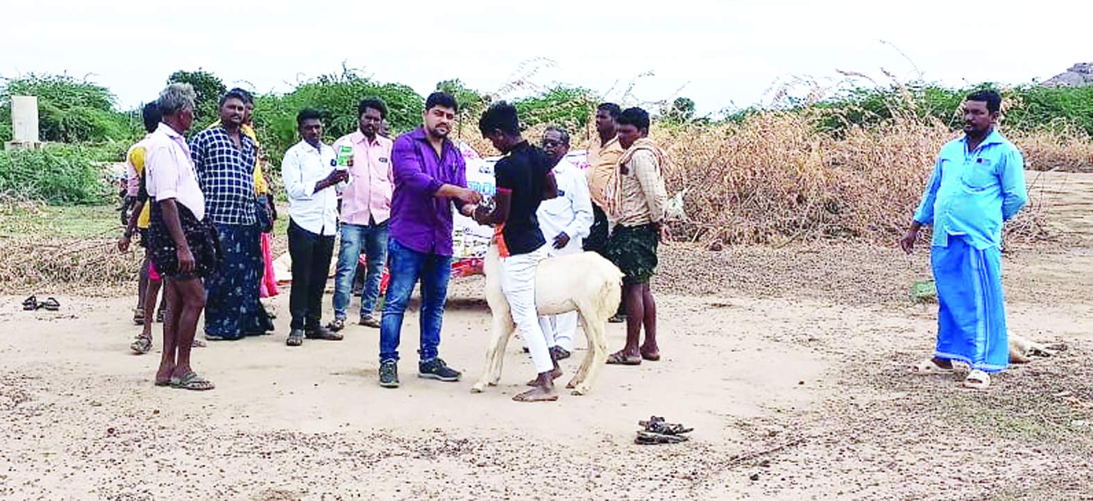 గొర్రెలకు, మేకలకు వైద్యం చేస్తున్న డాక్టర్‌ అశోక్‌ కుమార్‌