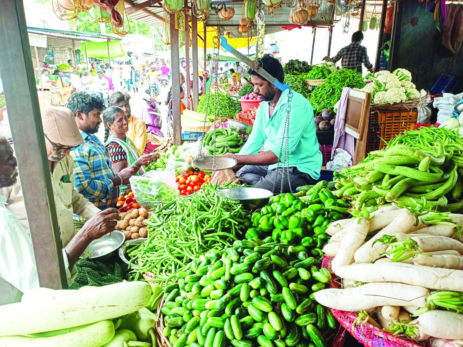 దుకాణంలో అమ్మకానికి సిద్ధంగా ఉన్న కూరగాయలు