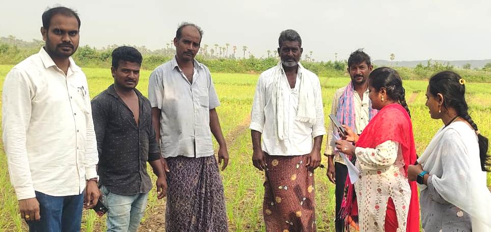 ఈ-క్రాప్‌ తప్పనిసరి